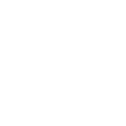 UI/UX Design